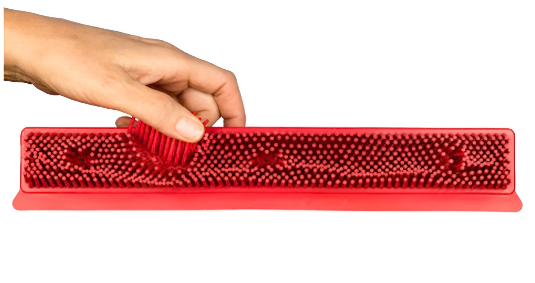 Carpet Brush