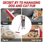 Carpet Brush